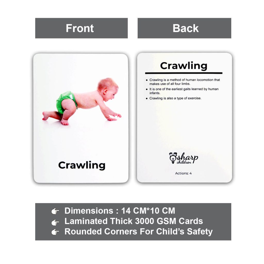 Educational Flash Cards Combo – Sharp Children